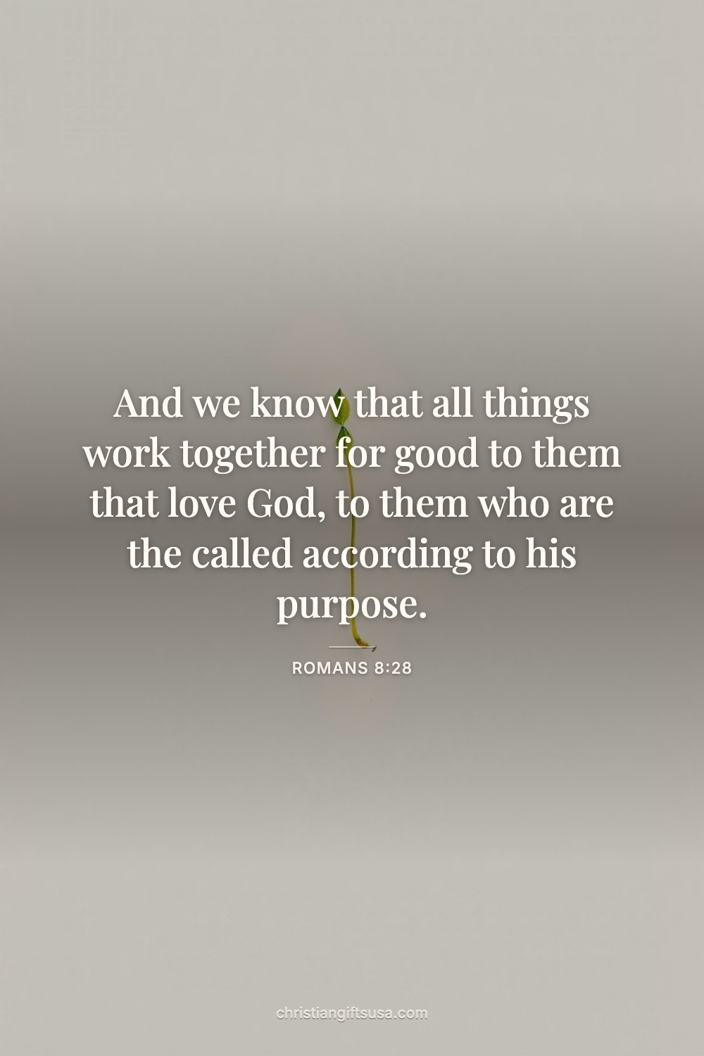 Romans 8:28 wallpaper